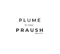 Logo for Praush