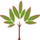 Logo for Ramadas Minerals