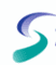 Logo for Salerno Pharmaceuticals
