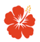 Logo for Straits Orthopaedics