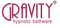 Logo for Gravity Bath