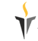 Logo for VST Group