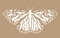Logo for Amala Earth