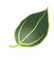 Logo for DeepForest Technologies