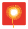 Logo for KWP