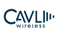 Logo for Cavli