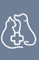 Logo for The Vet Connect