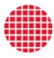 Logo for Polar Semiconductor