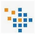Logo for Cogneau Systems
