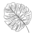 Logo for Patuuliving