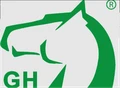 Logo for GH Technology