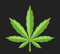 Logo for Quilchena Cannabis