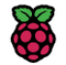 Logo for Raspberry Pi