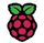 Logo for Raspberry Pi