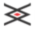 Logo for CP PLUS
