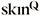 Logo for SkinQ