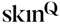 Logo for SkinQ