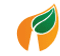Logo for VKG Elektrivorgud