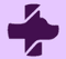 Logo for VetWize