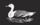 Logo for Stillwater Capital Management