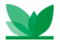Logo for Haifa Group