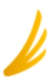 Logo for Accelera
