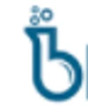 Logo for Blueprint Health