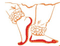 Logo for DanceKatha