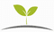 Logo for Vedas Cure