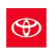 Logo for TFS