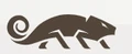 Logo for Natural Gear