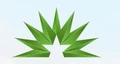 Logo for Paradigm