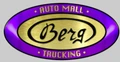 Logo for BERG AUTO MALL