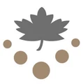 Logo for Maple Home Improvements