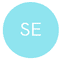 Logo for Securin