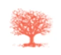 Logo for Benson Oak Ventures