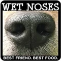 Logo for Wet Noses