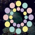 Logo for Colorifix
