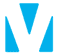 Logo for VidSys