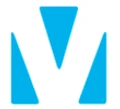 Logo for VidSys