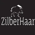 Logo for ZilberHaar