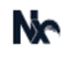 Logo for Nx