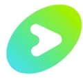 Logo for Vizbee