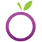 Logo for PurpleApple Infosystems