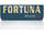 Logo of Fortuna Engineering