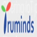Logo for Truminds