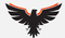 Logo for Vyorius