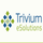 Logo for Trivium eSolutions