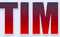 Logo for Technology & Information Management