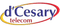 Logo for d'Cesary Telecom